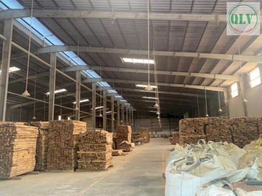 CHO THUÊ NHÀ XƯỞNG – ĐỒNG XOÀI, BÌNH PHƯỚC – 53.000m²